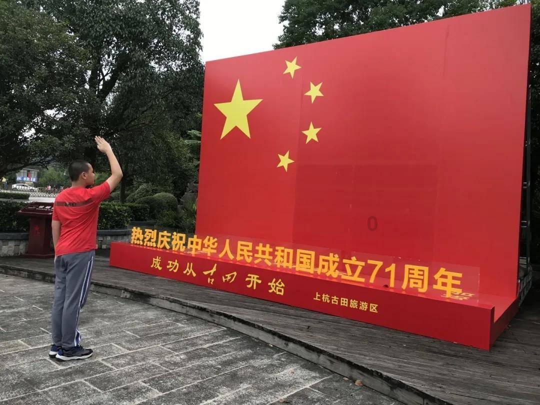 太阳花幼苗不移栽可以吗？游戏画面